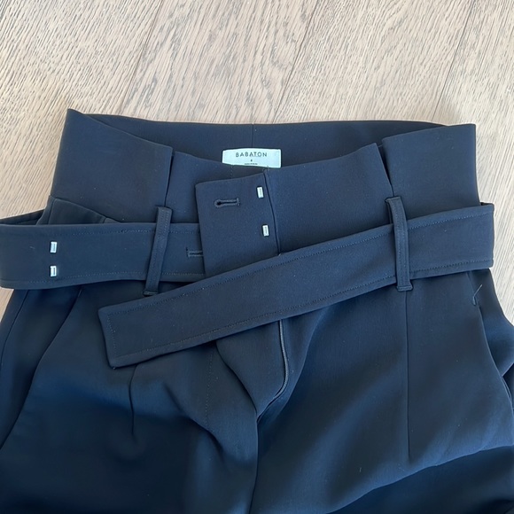 Aritzia Babaton Jermaine Pant - Picture 9 of 11